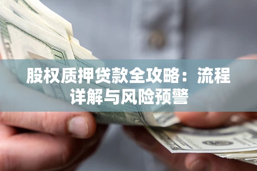北京股权质押贷款全攻略：流程详解与风险预警