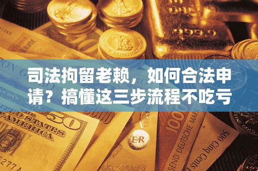 北京司法拘留老赖，如何合法申请？搞懂这三步流程不吃亏！