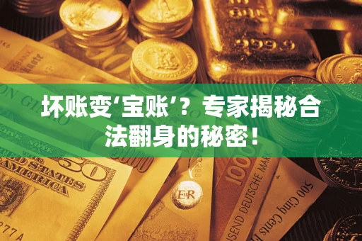 北京坏账变‘宝账’？专家揭秘合法翻身的秘密！