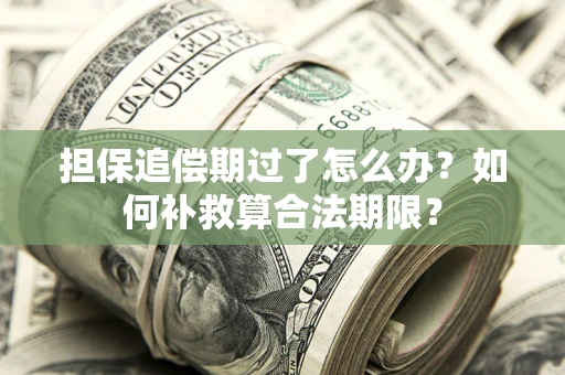 北京担保追偿期过了怎么办？如何补救算合法期限？